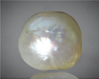 Natural Pearl (Basra) Certified  1.56 Cts { 0011(35) }